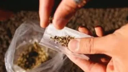 Կանանց շրջանում ավելացել է թմրամիջոց օգտագործողների թիվը. առողջապահության փոխնախարար