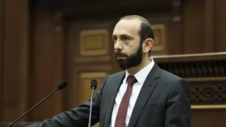 Առայժմ տեղեկություն չունենք՝ ինչպիսին է ԵՄ դիտորդների զեկույցը Տեղի դեպքի մասին. Միրզոյան