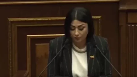 ՏԵՍԱՆՅՈՒԹ․ Հռիփսիմե Ստամբուլյանը` ԱԺ-ում Կոլումբիայի դրոշով