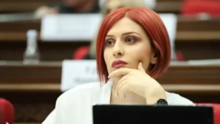 «Փաստորեն ՀԱՊԿ-ի Բրյուս Լին դո՞ւք եք». Խամոյանը` Փաշինյանին