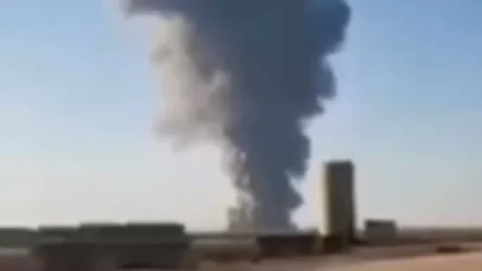 ՏԵՍԱՆՅՈՒԹ. 18 հազար կով է սատկել Տեխասի կաթնամթերքի ֆերմայի պայթյունից