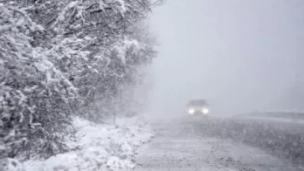 Սպասվում է ձյուն և մառախուղ, լեռնային շրջաններում՝ բուք. եղանակ