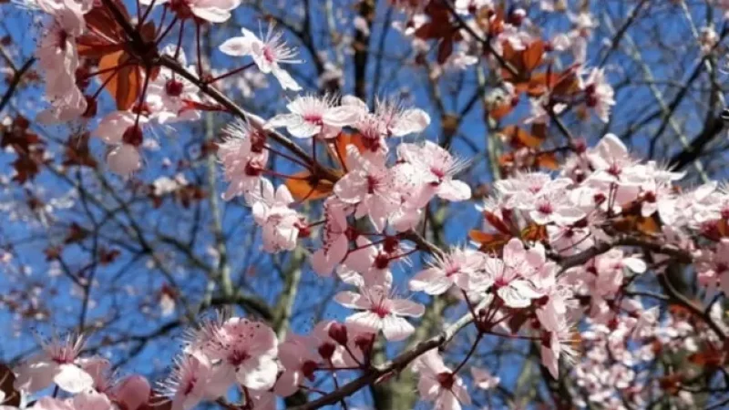 Եղանակը ՀՀ-ում
