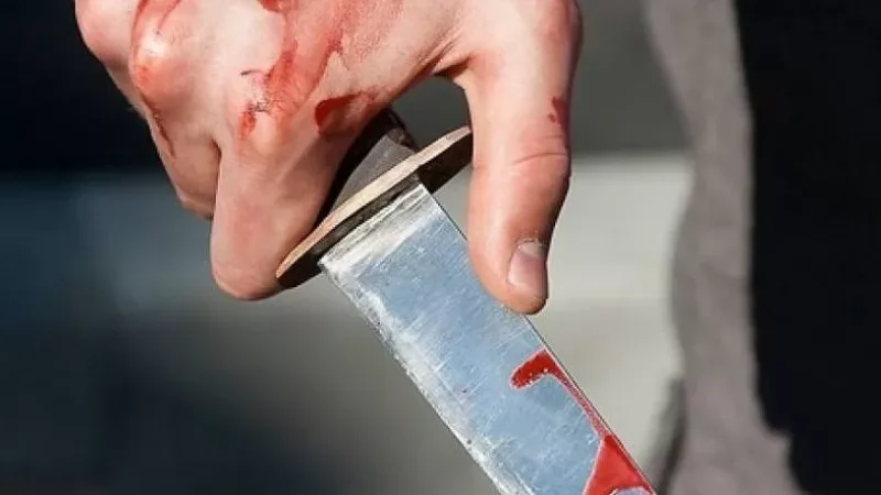 37-ամյա տղամարդը ծեծել է մորը, դանակով կտրել պարանոցը․ նոր մանրամասներ