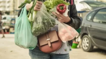 «Շրջակա միջավայրը մենք շարունակելու ենք աղտոտել էլիտար գներով». Կարեն Հեքիմյան