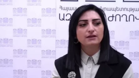 ՏԵՍԱՆՅՈՒԹ. Թագուհի Թովմասյանը`  իր քաղաքական ակցիայի մասին