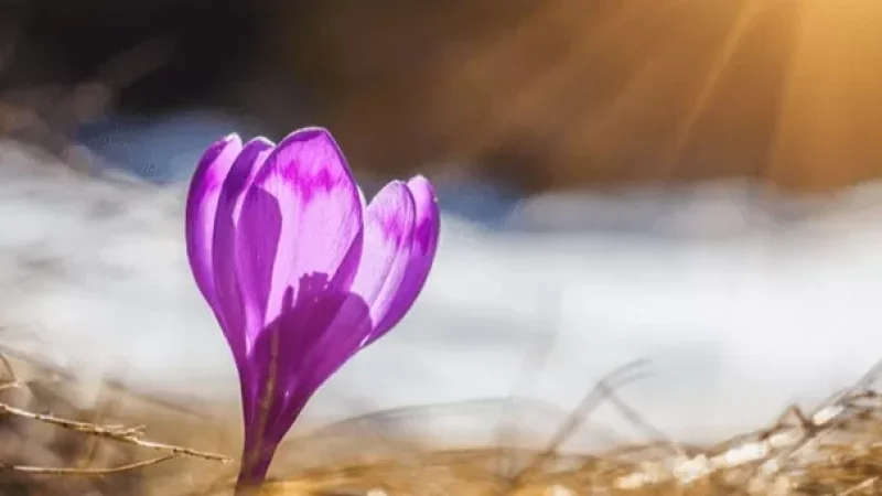 Եղանակը ՀՀ-ում