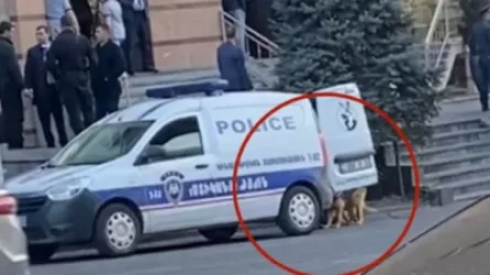 ՏԵՍԱՆՅՈՒԹ․ Ոստիկաններ, ոստիկանական շներ՝ ՔՊ գլխամասային գրասենյակի դիմաց