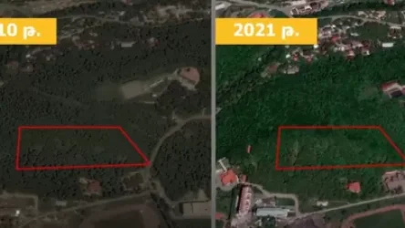 Ծաղկաձորում անտառը սեփականաշնորհվել է․ ծառերն արմատախիլ են արվել․ «Հետք»