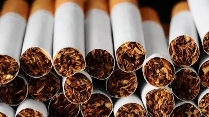 «Գրանդ Տոբակոն» ազատվեց մաքսատուրքից՝ 176 մլրդի ներդրում անելու և 150 աշխատատեղ ստեղծելու համար