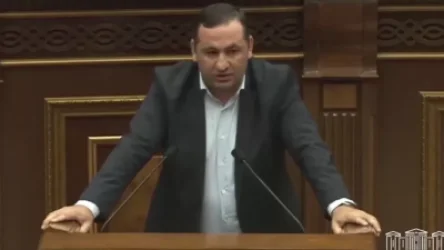 ՏԵՍԱՆՅՈՒԹ․ Մեր քաղաքացիներին դարձրել ենք հոգեկան հիվանդ․ ՔՊ պատգամավոր