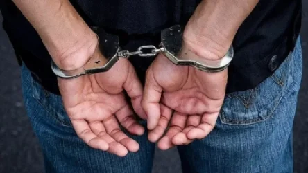 Մոր պարանոցը կտրած տղամարդը կալանավորվել է