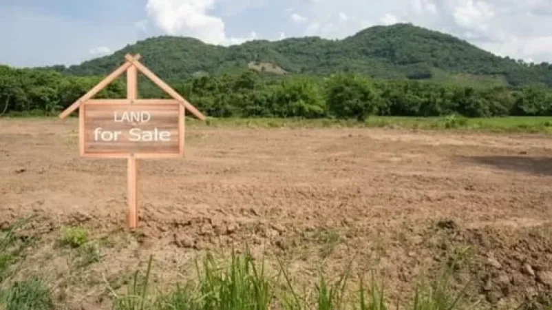 Հայաստանի քաղաքացիները Վրաստանում 164 հողատարածք են գնել