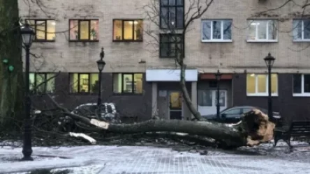 ՏԵՍԱՆՅՈՒԹ․ «Նադյա» փոթորիկը Կալինինգրադում ավերածություններ է առաջացրել