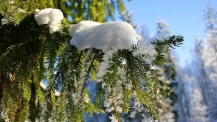 Ինչ եղանակ է սպասվում առաջիկայում