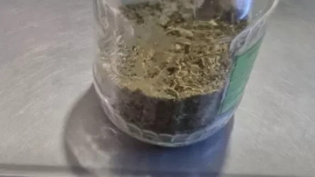 ՏԵՍԱՆՅՈՒԹ․ «Զիլ»-ով հանդերձ բերման են ենթարկվել 2 նորաշենցիներ