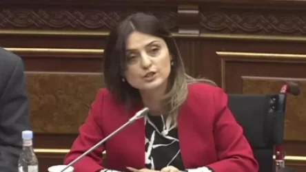 ՏԵՍԱՆՅՈՒԹ. Որքանո՞վ են իրավաչափ եղել ոստիկանության գործողություններն ակումբում. Բաթոյան