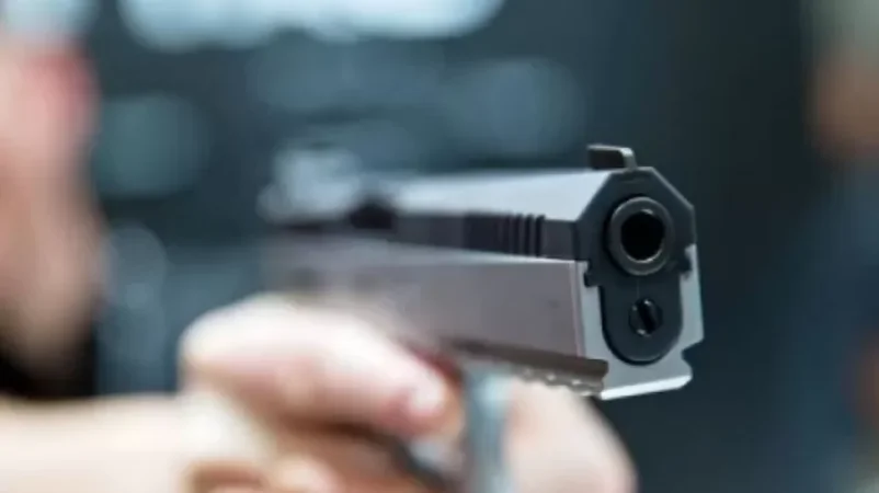 32-ամյա երևանցին կրակել է շների վրա ու այլ քաղաքացուց դեմքին հարված ստացել