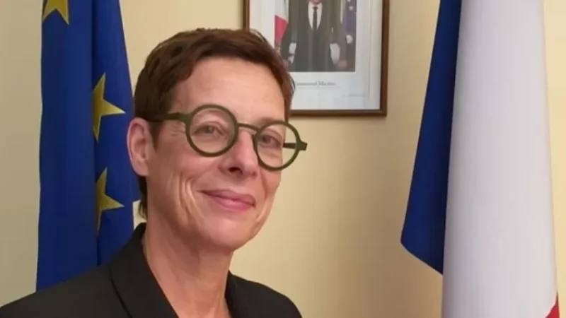 Ֆրանսիահայ լրագրողը ՀՀ-ում դեսպանի մասին սենսացիոն բացահայտում է անում. «Հրապարակ»