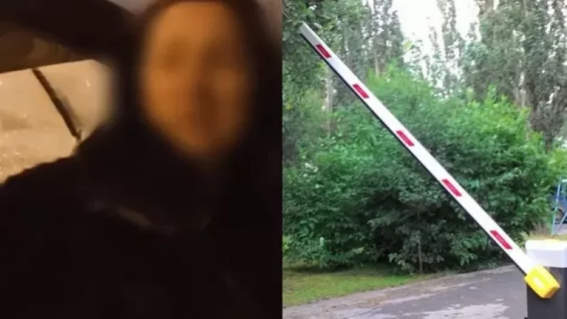 Video: "The Barrier Tried to Kill Me" – Intoxicated Driver's Response to Police in Russia