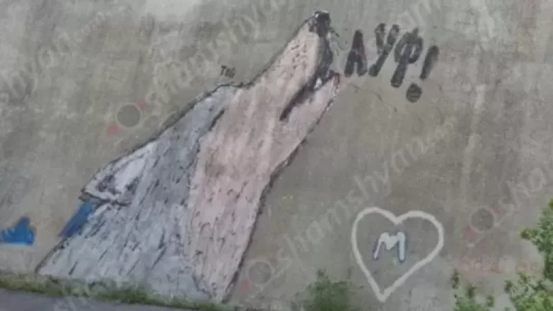 Գոհունակության ճիչ արձակող գորշ գայլի պատկեր է հայտնվել Դավթաշենի կամրջի սկզբնամասում․ Shamshyan