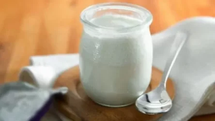 Հայկական «մածունը» Վրաստանով չի կարող արտահանվել Ռուսաստան ինչ լուծում է գտնվել