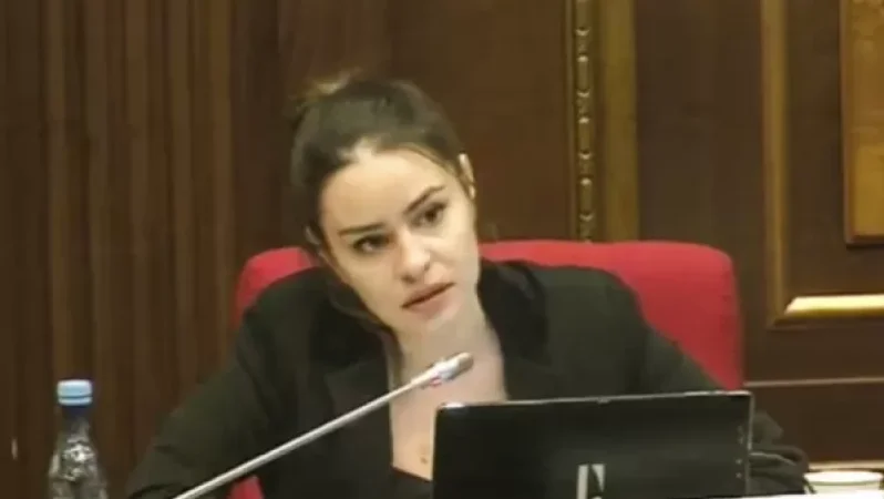 «Ո՞ւմ են ուղղում այդ միլիարդները»․ Սոնա Ղազարյան