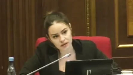 «Ո՞ւմ են ուղղում այդ միլիարդները»․ Սոնա Ղազարյան