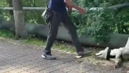 ՏԵՍԱՆՅՈՒԹ․ Երիտասարդը Ծիծեռնակաբերդի այգում ծեծում է շանը․ ականատեսները ահազանգում են