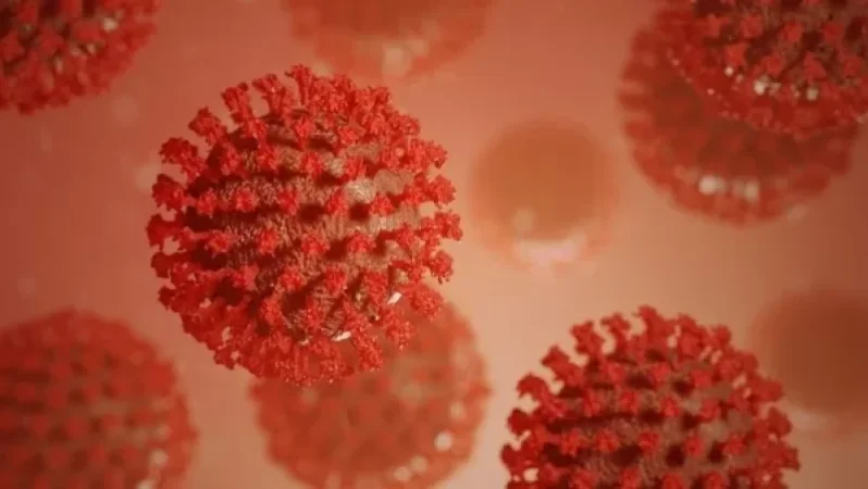 Կորոնավիրուսի հաստատված դեպքերը՝ Արցախում