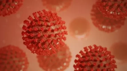 Կորոնավիրուսի հաստատված դեպքերը՝ Արցախում