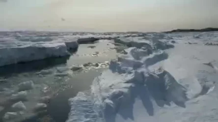 Օխոտսկի ծովում մոտ 300 ձկնորս մնացել է սառցակտորի վրա