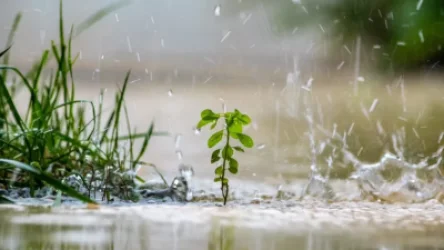Անձրևանոցը չմոռանաք. տեղումներ կլինեն