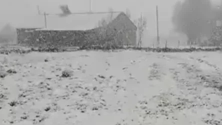 ՏԵՍԱՆՅՈՒԹ․ Արագածոտնի մարզում ձյուն է տեղում