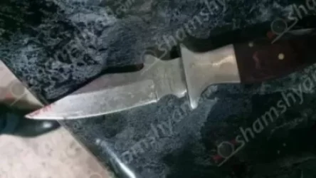 Գեղարքունիքում 18-ամյա տղան դանակահարել է իր անչափահաս եղբորը