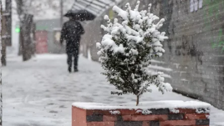 Հայաստանի որոշ հատվածներում ձյուն է տեղում