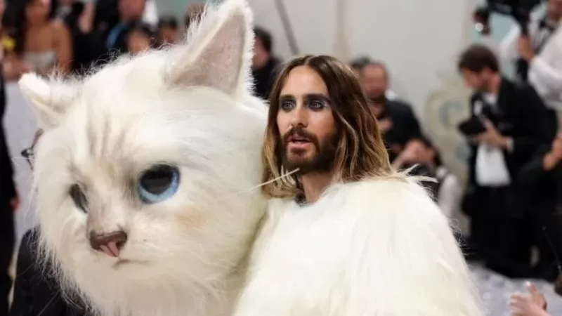 PHOTOS: How Global Stars Participated in the Met Gala