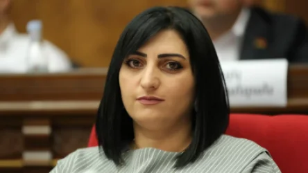 Ստորագրահավաք՝ Բերձորում ապօրինի տեղադրված անցակետը հանելու պահանջով. Թովմասյան