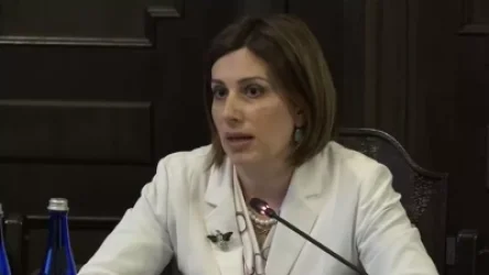 ՏԵՍԱՆՅՈՒԹ․ Բժշկական ոլորտի աշխատողները կլիցենզավորվեն․ Ավանեսյան