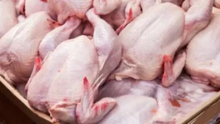 Ահազանգեր կան, որ ինչ-որ մարդիկ մեքենաների թափքերից թռչնամիս են վաճառում Երեւանի շենքերի բակերում