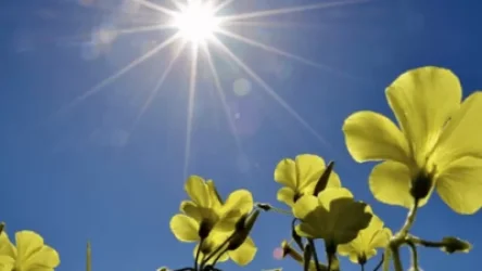 Առաջիկա օրերի եղանակը