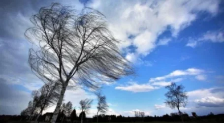 Սպասվում է քամու ուժգնացում. եղանակը՝ Հայաստանում