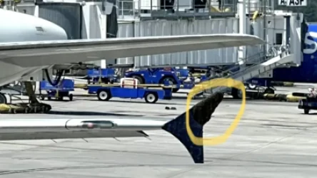 ՏԵՍԱՆՅՈՒԹ. ԱՄՆ-ում մեղուների պարսը կուտակվել է ինքնաթիռի թևին. թռիչքը 4 ժամով հետաձգվել է