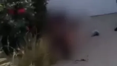 ՏԵՍԱՆՅՈՒԹ. Կրակոցներ՝ Տեխասի առևտրի կենտրոնում. կա 9 զոհ