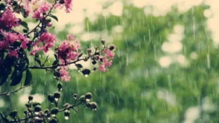 Սպասվում է անձրև և ամպրոպ