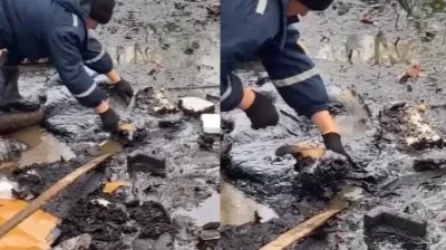 ՏԵՍԱՆՅՈՒԹ․ Շունը մի կերպ նվնվացել է․ նրան հայտնաբերել են մազութի մեջ «թաղված»․ ՌԴ