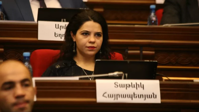 Երբ Ադրբեջանը չի հաջողում բանակցային գործընթացում, դիմում է ուժի կիրառմանը․ ադրբեջանագետ