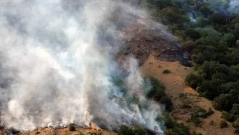 Հրդեհ՝ «Խոսրովի անտառ» պետական արգելոցում