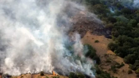 Հրդեհ՝ «Խոսրովի անտառ» պետական արգելոցում