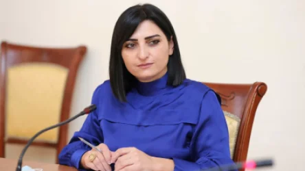 Ի՞նչ տեղեկություն ունեն, որ գերեվարվածները 33-ն են, մյուս տղաներն ո՞ւր են․ Թագուհի Թովմասյան